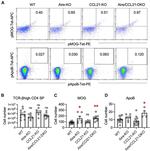 CD8a Antibody in Flow Cytometry (Flow)