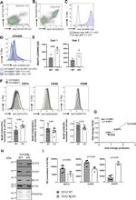 J Chain Antibody in Flow Cytometry (Flow)