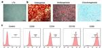 CD45 Antibody in Flow Cytometry (Flow)