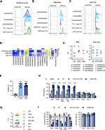 COL11A1 Antibody in Flow Cytometry (Flow)