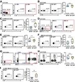 IL-22 Antibody in Flow Cytometry (Flow)