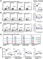 IL-22 Antibody in Flow Cytometry (Flow)