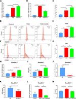 CD86 (B7-2) Antibody in Flow Cytometry (Flow)