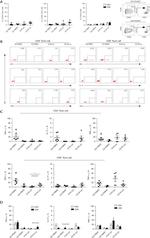 CD8a Antibody in Flow Cytometry (Flow)