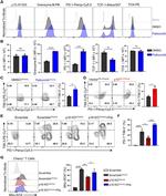 CD366 (TIM3) Antibody in Flow Cytometry (Flow)