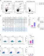 CD184 (CXCR4) Antibody in Flow Cytometry (Flow)