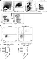 IFN gamma Antibody in Flow Cytometry (Flow)