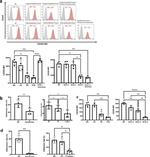 CD184 (CXCR4) Antibody in Flow Cytometry (Flow)