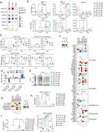 F4/80 Antibody in Flow Cytometry (Flow)