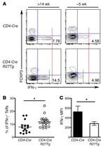 IFN gamma Antibody in Flow Cytometry (Flow)