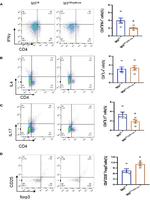 CD4 Antibody in Flow Cytometry (Flow)