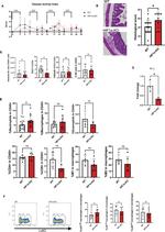 Ly-6C Antibody in Flow Cytometry (Flow)