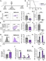 Granzyme B Antibody in Flow Cytometry (Flow)