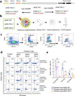CD140a (PDGFRA) Antibody in Flow Cytometry (Flow)