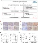 IFN beta Antibody in Immunohistochemistry (IHC)