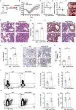 VISTA Antibody in Flow Cytometry (Flow)