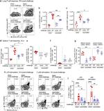 CD44 Antibody in Flow Cytometry (Flow)