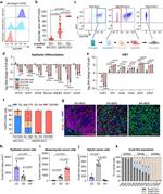 CD326 (EpCAM) Antibody in Flow Cytometry (Flow)