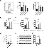 CD197 (CCR7) Antibody in Flow Cytometry (Flow)