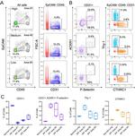 CTHRC1 Antibody in Flow Cytometry (Flow)