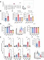 IL-33 Antibody in Flow Cytometry (Flow)