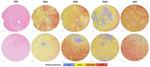 AHR Antibody in Immunohistochemistry (PFA fixed) (IHC (PFA))