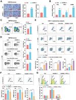 CD8a Antibody in Flow Cytometry (Flow)