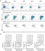 CD4 Antibody in Flow Cytometry (Flow)