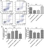 CD3 Antibody in Flow Cytometry (Flow)