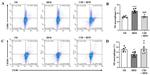 CD86 (B7-2) Antibody in Flow Cytometry (Flow)