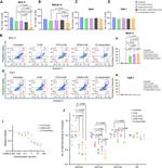 CD135 (Flt3) Antibody in Flow Cytometry (Flow)