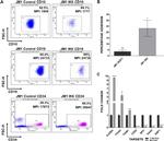 CD34 Antibody in Flow Cytometry (Flow)