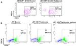 CD34 Antibody in Flow Cytometry (Flow)