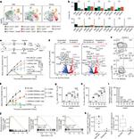 SEMA4A Antibody in Flow Cytometry (Flow)