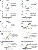 CD16 Monoclonal Antibody (3G8), FITC