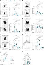 CD19 Antibody in Flow Cytometry (Flow)
