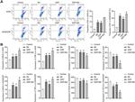 CD11c Antibody in Flow Cytometry (Flow)