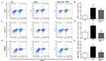 Gata-3 Antibody in Flow Cytometry (Flow)