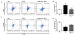 CD86 (B7-2) Antibody in Flow Cytometry (Flow)