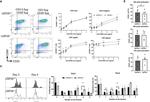 CD69 Antibody in Flow Cytometry (Flow)