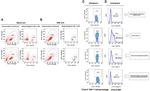 CD152 (CTLA-4) Antibody in Flow Cytometry (Flow)