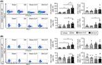 CD279 (PD-1) Antibody in Flow Cytometry (Flow)