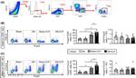 CD152 (CTLA-4) Antibody in Flow Cytometry (Flow)