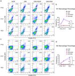 CD11c Antibody in Flow Cytometry (Flow)