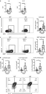 IL-13 Antibody in Flow Cytometry (Flow)