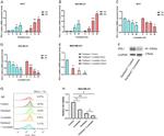 PD-L1 Antibody in Flow Cytometry (Flow)