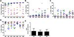 CD3e Antibody in Flow Cytometry (Flow)