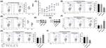 CD4 Antibody in Flow Cytometry (Flow)