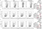 IL-1 beta (Pro-form) Antibody in Flow Cytometry (Flow)