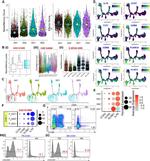 CD127 Antibody in Flow Cytometry (Flow)